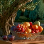 d928d14d43510353dee511574f232dd2